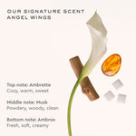 Aura Hair + Body Mist™ in Angel Wings our signature scent angel wings top note ambrette cozy warm sweet middle note musk powdery wood clean bottom note ambrox fresh soft creamy hover