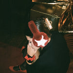 Heartbreaker Clip in Gold Tiara model looking down while wearing Sugar Muffs and Heartbreaker Clip in Gold Tiara