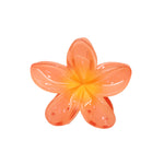 Super Bloom Clip in Peach Spritz Super Bloom Clip in Peach Spritz