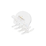 Jelly Clip in Sugar Water Jelly Clip in Sugar Water