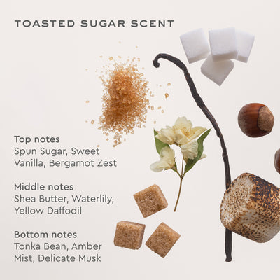 toasted sugar scent

Top notes: 
Spun Sugar, Sweet Vanilla, Bergamot Zest

Middle notes: 
Shea Butter, Waterlily, Yellow Daffodil

Bottom notes: 
Tonka Bean, Amber Mist, Delicate Musk
